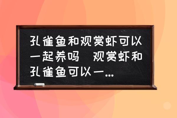 孔雀魚(yú)和觀賞蝦可以一起養(yǎng)嗎(觀賞蝦和孔雀魚(yú)可以一起養(yǎng)嗎？)
