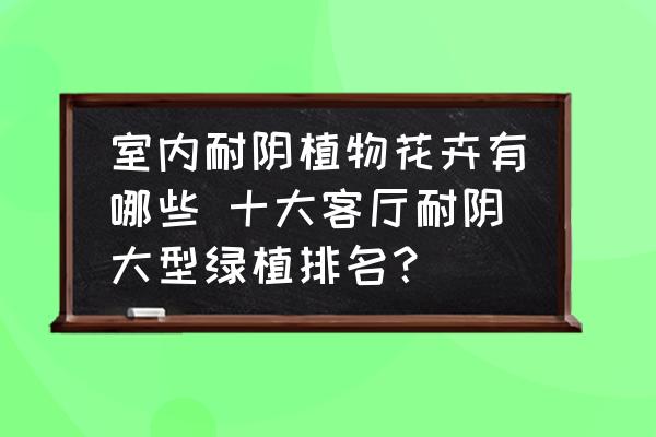 室內(nèi)耐陰植物花卉有哪些 十大客廳耐陰大型綠植排名？