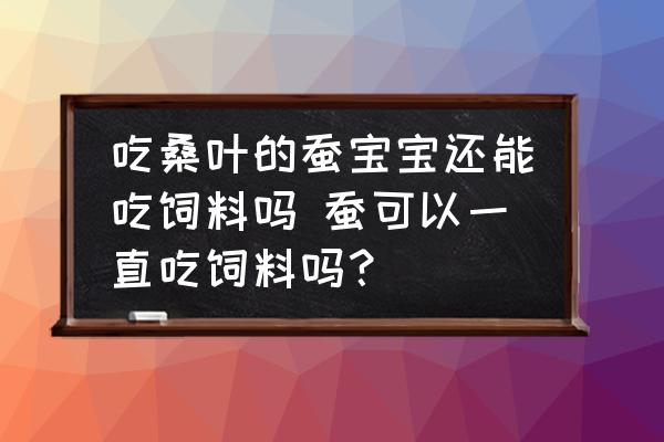 吃桑葉的蠶寶寶還能吃飼料嗎 蠶可以一直吃飼料嗎？