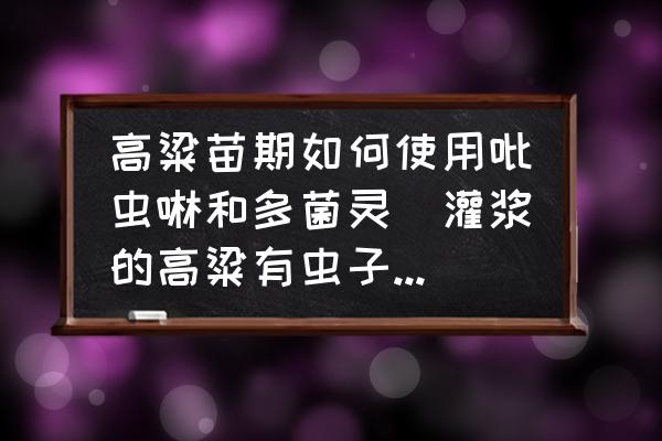 高粱苗期如何使用吡蟲啉和多菌靈(灌漿的高粱有蟲子了怎么辦？)