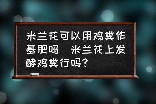米蘭花可以用雞糞作基肥嗎(米蘭花上發(fā)酵雞糞行嗎？)
