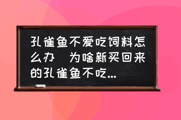孔雀魚不愛吃飼料怎么辦(為啥新買回來的孔雀魚不吃魚食？)