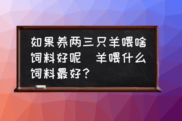 如果養(yǎng)兩三只羊喂啥飼料好呢(羊喂什么飼料最好？)