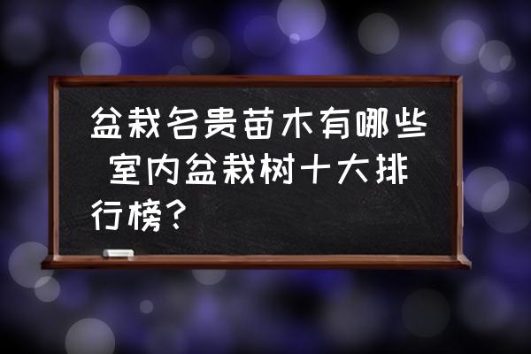盆栽名貴苗木有哪些 室內(nèi)盆栽樹十大排行榜？