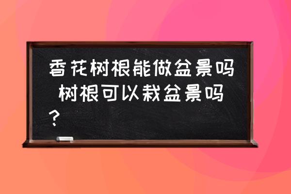 香花樹根能做盆景嗎 樹根可以栽盆景嗎？