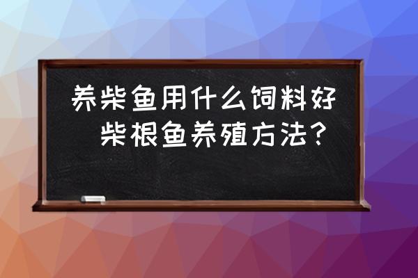 養(yǎng)柴魚用什么飼料好(柴根魚養(yǎng)殖方法？)
