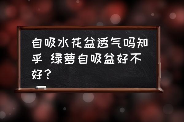自吸水花盆透氣嗎知乎 綠蘿自吸盆好不好？