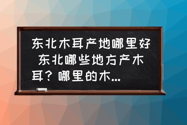 東北木耳產(chǎn)地哪里好 東北哪些地方產(chǎn)木耳？哪里的木耳最好？