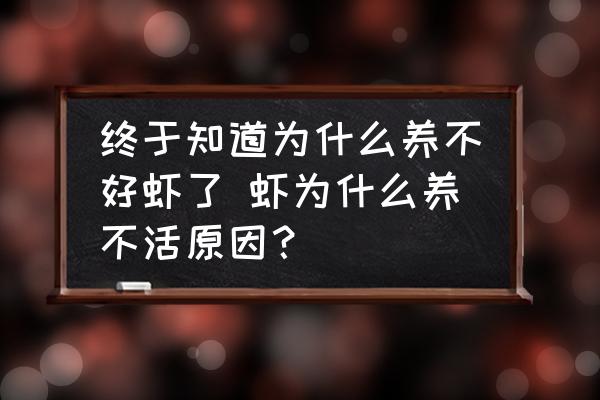 終于知道為什么養(yǎng)不好蝦了 蝦為什么養(yǎng)不活原因？