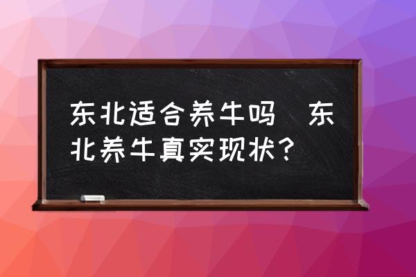 東北適合養(yǎng)牛嗎(東北養(yǎng)牛真實現(xiàn)狀？)