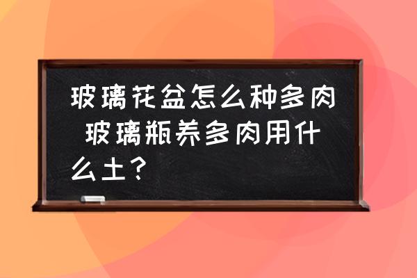 玻璃花盆怎么種多肉 玻璃瓶養(yǎng)多肉用什么土？