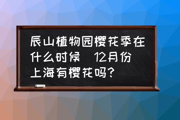 辰山植物園櫻花季在什么時(shí)候(12月份上海有櫻花嗎？)