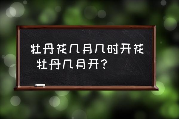 牡丹花幾月幾時(shí)開花 牡丹幾月開？