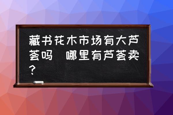 藏書花木市場有大蘆薈嗎(哪里有蘆薈賣？)