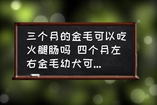 三個月的金毛可以吃火腿腸嗎 四個月左右金毛幼犬可不可以吃火腿腸？