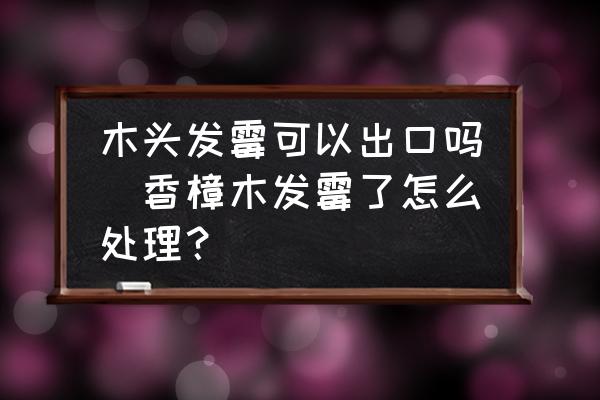 木頭發(fā)霉可以出口嗎(香樟木發(fā)霉了怎么處理？)