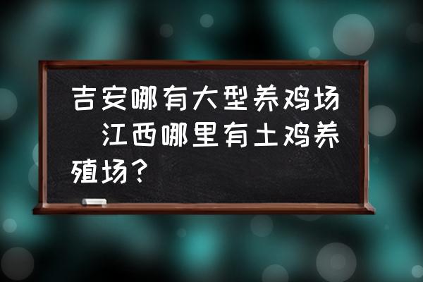 吉安哪有大型養(yǎng)雞場(江西哪里有土雞養(yǎng)殖場？)