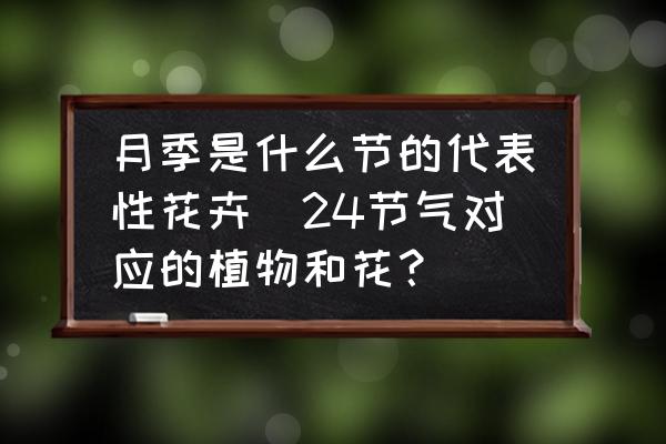 月季是什么節(jié)的代表性花卉(24節(jié)氣對(duì)應(yīng)的植物和花？)