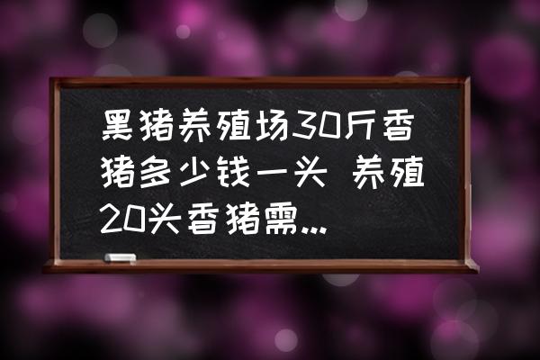 黑豬養(yǎng)殖場(chǎng)30斤香豬多少錢一頭 養(yǎng)殖20頭香豬需要多少錢？