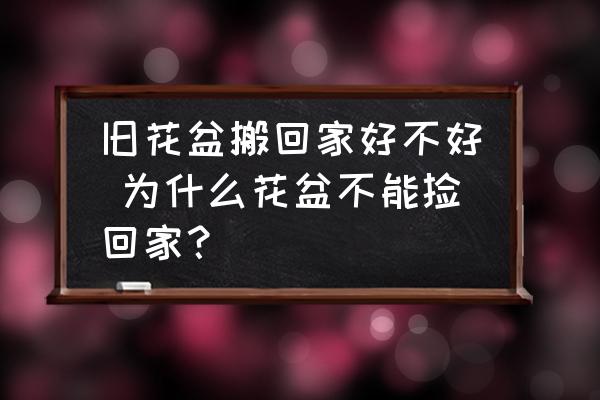 舊花盆搬回家好不好 為什么花盆不能撿回家？
