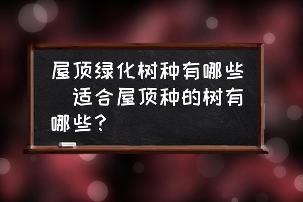 屋頂綠化樹種有哪些(適合屋頂種的樹有哪些？)
