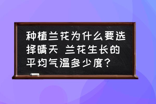 種植蘭花為什么要選擇晴天 蘭花生長的平均氣溫多少度？