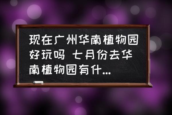 現(xiàn)在廣州華南植物園好玩嗎 七月份去華南植物園有什么好玩的？