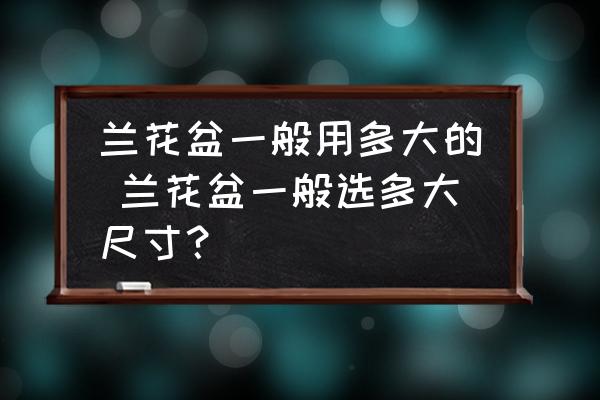 蘭花盆一般用多大的 蘭花盆一般選多大尺寸？
