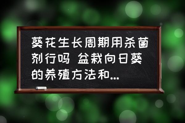 葵花生長(zhǎng)周期用殺菌劑行嗎 盆栽向日葵的養(yǎng)殖方法和注意事項(xiàng)？