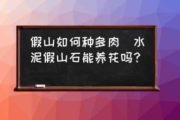 假山如何種多肉(水泥假山石能養(yǎng)花嗎？)