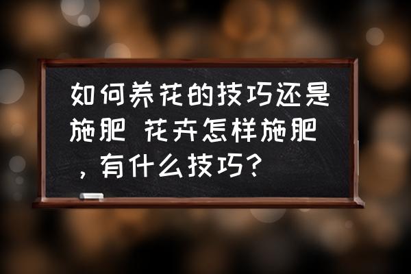 如何養(yǎng)花的技巧還是施肥 花卉怎樣施肥，有什么技巧？