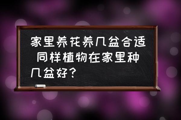 家里養(yǎng)花養(yǎng)幾盆合適 同樣植物在家里種幾盆好？
