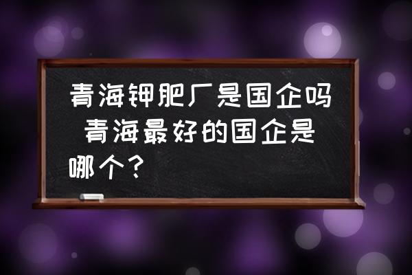 青海鉀肥廠是國企嗎 青海最好的國企是哪個？