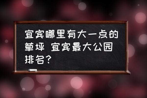 宜賓哪里有大一點(diǎn)的草坪 宜賓最大公園排名？