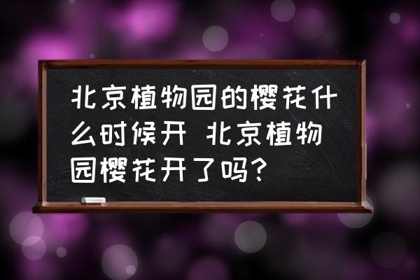 北京植物園的櫻花什么時(shí)候開 北京植物園櫻花開了嗎？