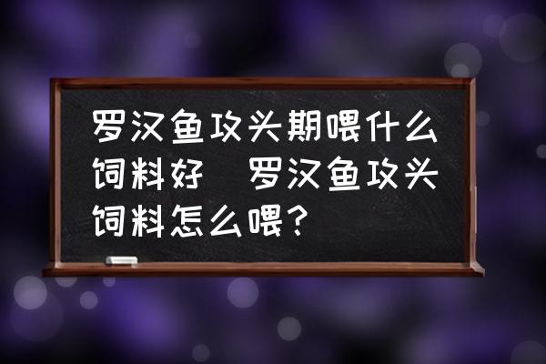 羅漢魚(yú)攻頭期喂什么飼料好(羅漢魚(yú)攻頭飼料怎么喂？)