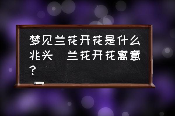 夢見蘭花開花是什么兆頭(蘭花開花寓意？)