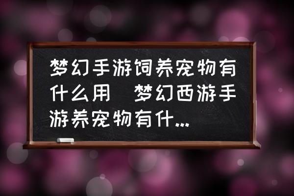 夢幻手游飼養(yǎng)寵物有什么用(夢幻西游手游養(yǎng)寵物有什么好處？)