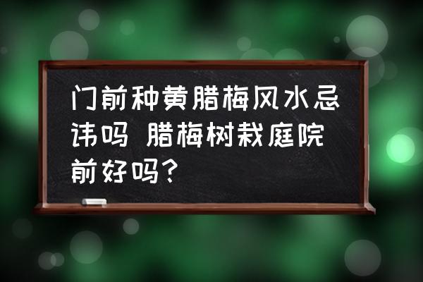 門前種黃臘梅風(fēng)水忌諱嗎 臘梅樹栽庭院前好嗎？
