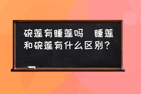 碗蓮有睡蓮嗎(睡蓮和碗蓮有什么區(qū)別？)