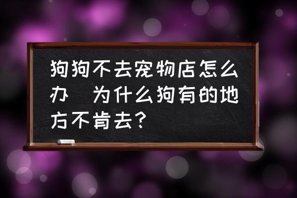 狗狗不去寵物店怎么辦(為什么狗有的地方不肯去？)