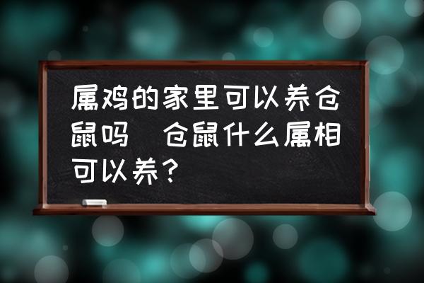 屬雞的家里可以養(yǎng)倉鼠嗎(倉鼠什么屬相可以養(yǎng)？)
