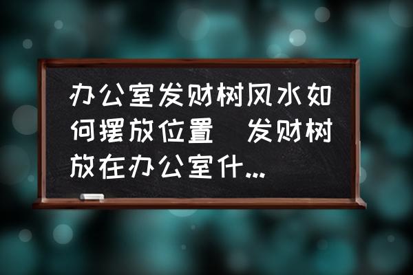 辦公室發(fā)財樹風水如何擺放位置(發(fā)財樹放在辦公室什么位置好？)