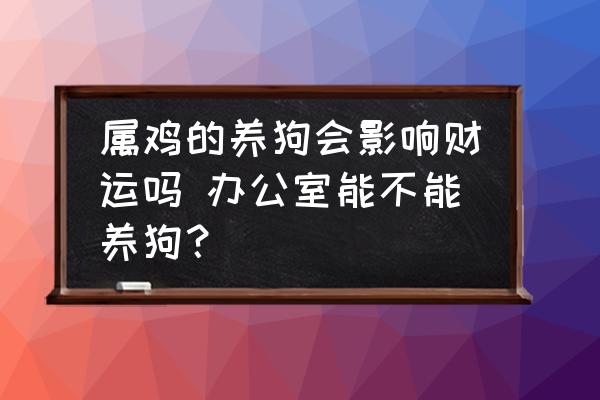 屬雞的養(yǎng)狗會影響財運嗎 辦公室能不能養(yǎng)狗？