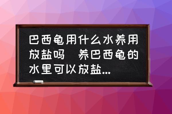 巴西龜用什么水養(yǎng)用放鹽嗎(養(yǎng)巴西龜?shù)乃锟梢苑披}水嗎？)