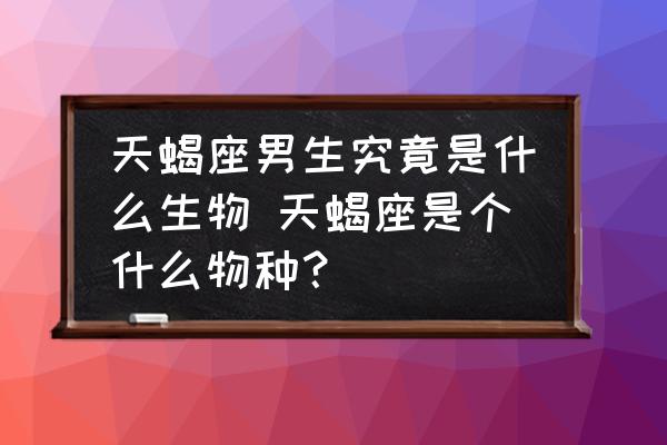 天蝎座男生究竟是什么生物 天蝎座是個(gè)什么物種？