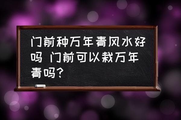 門前種萬年青風(fēng)水好嗎 門前可以栽萬年青嗎？