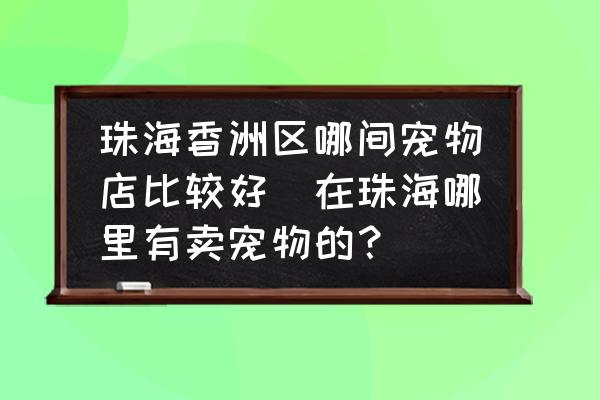 珠海香洲區(qū)哪間寵物店比較好(在珠海哪里有賣寵物的？)