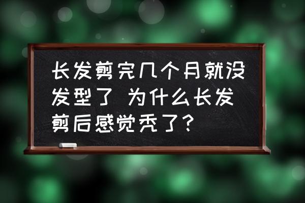 長(zhǎng)發(fā)剪完幾個(gè)月就沒發(fā)型了 為什么長(zhǎng)發(fā)剪后感覺禿了？