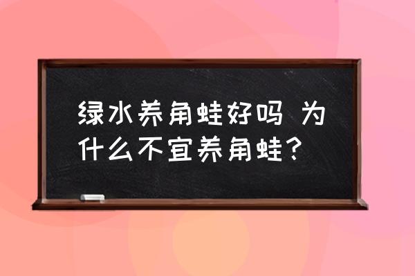 綠水養(yǎng)角蛙好嗎 為什么不宜養(yǎng)角蛙？